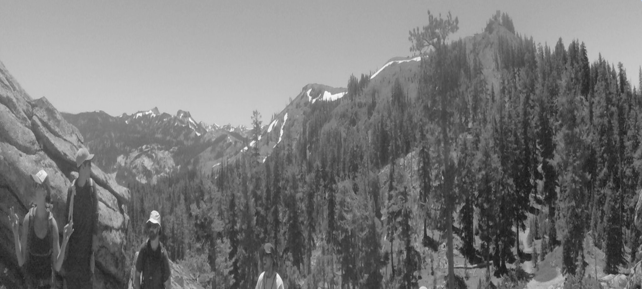 Nature Scene